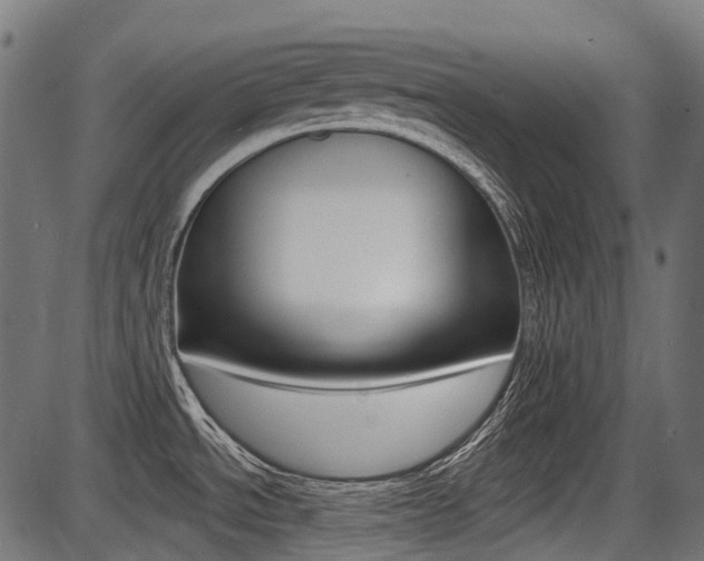 X0000087701534200705040838