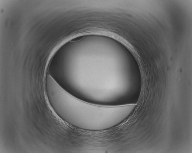 X0000087701536200705040838