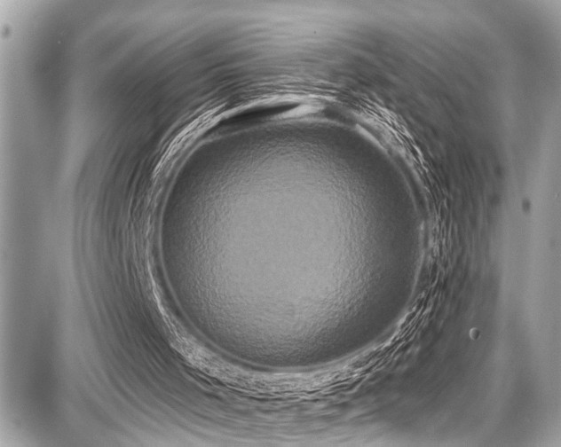 X0000087700001200705041115