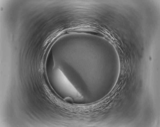 X0000087700002200705041115
