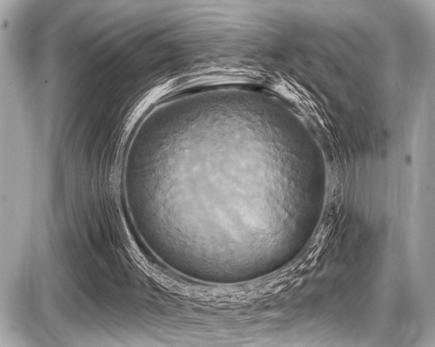 X0000087700003200705041115