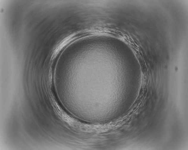 X0000087700005200705041114