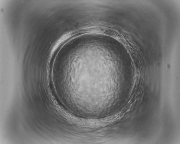 X0000087700006200705041114