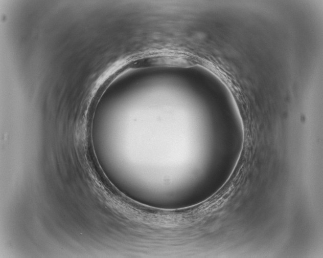 X0000087700008200705041114