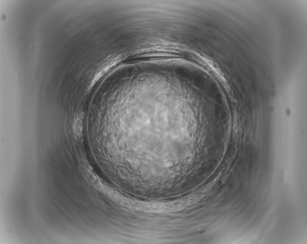 X0000087700010200705041114