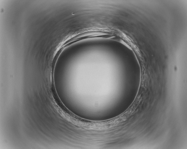 X0000087700011200705041114