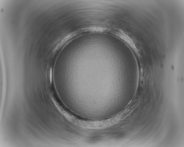 X0000087700013200705041114