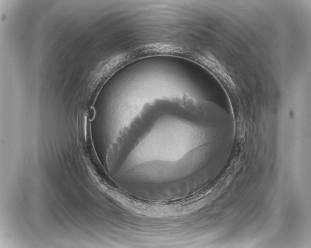 X0000087700014200705041114