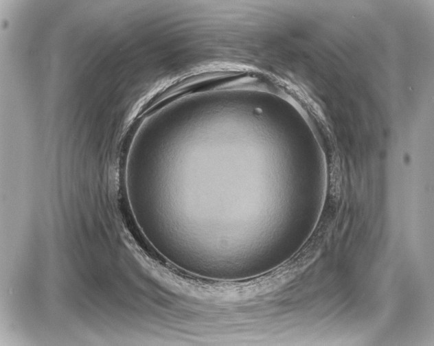 X0000087700015200705041114