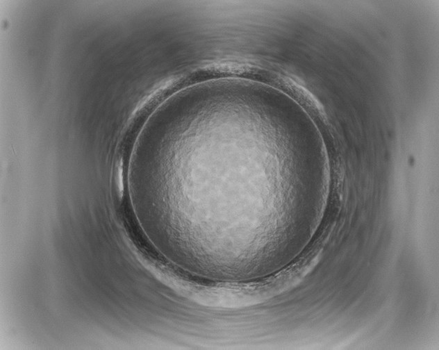 X0000087700020200705041114