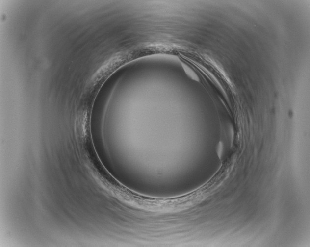 X0000087700023200705041114
