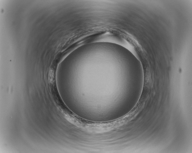 X0000087700025200705041114