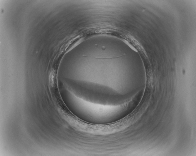X0000087700026200705041114