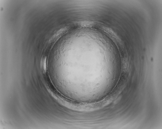 X0000087700028200705041114