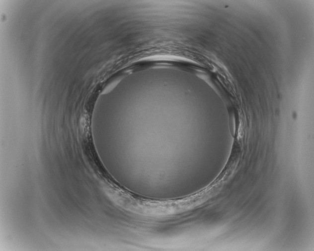 X0000087700029200705041114