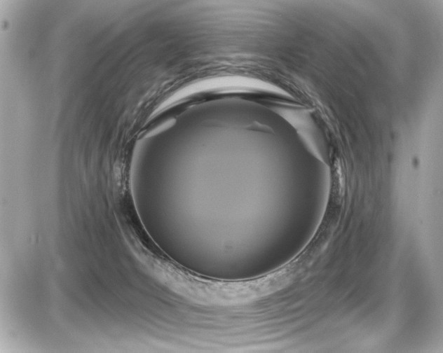 X0000087700031200705041114