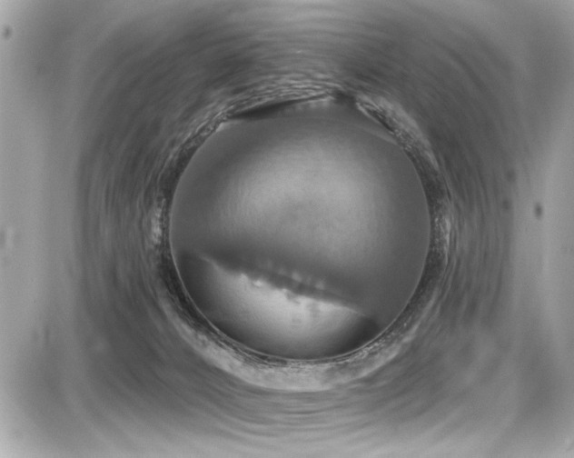 X0000087700032200705041114
