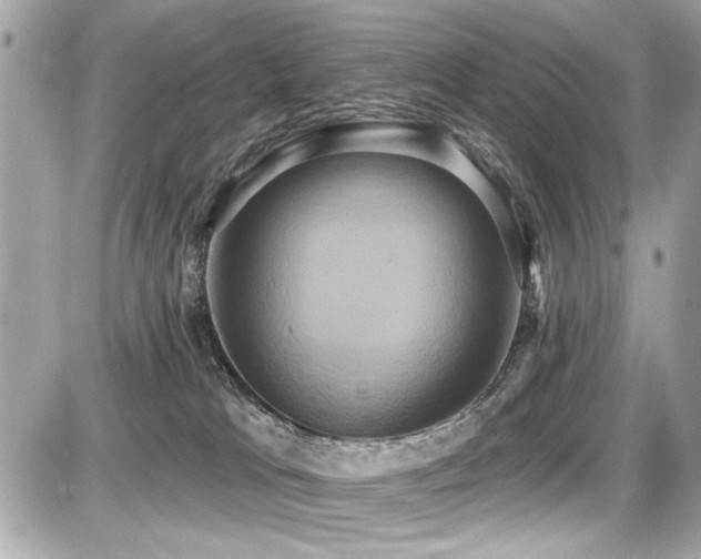 X0000087700037200705041114