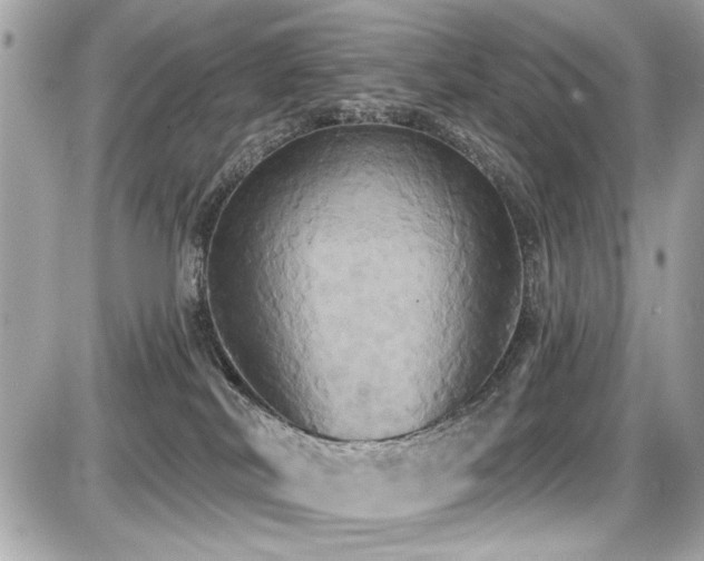 X0000087700038200705041114