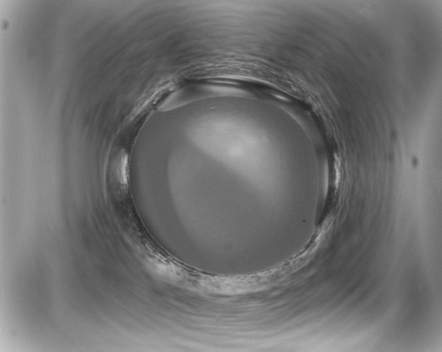 X0000087700041200705041114