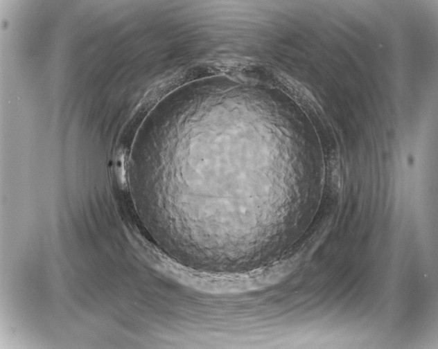 X0000087700042200705041114