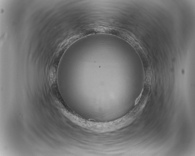 X0000087700043200705041114