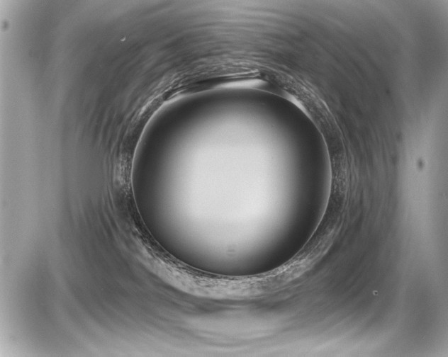X0000087700044200705041114