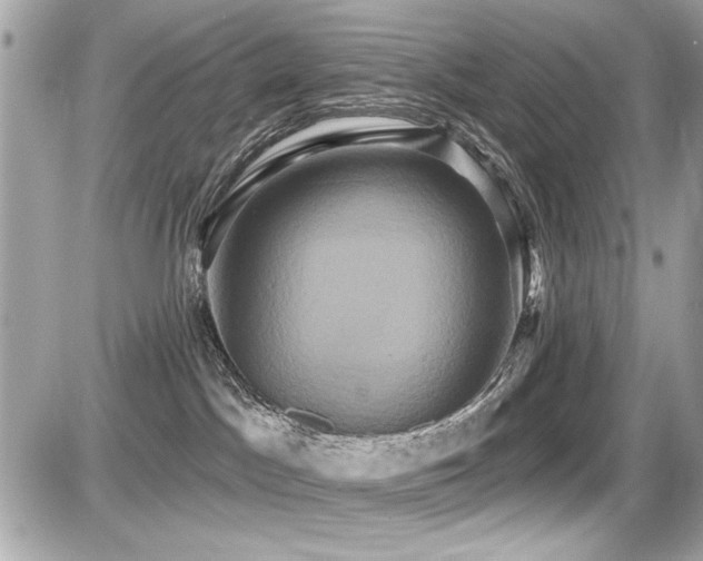 X0000087700045200705041114