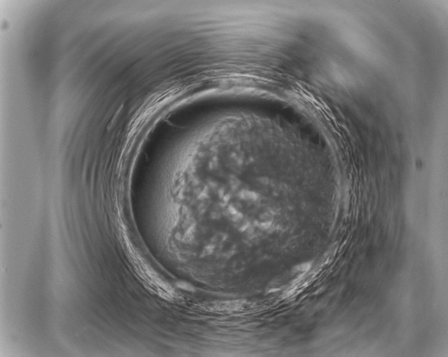 X0000087700049200705041113
