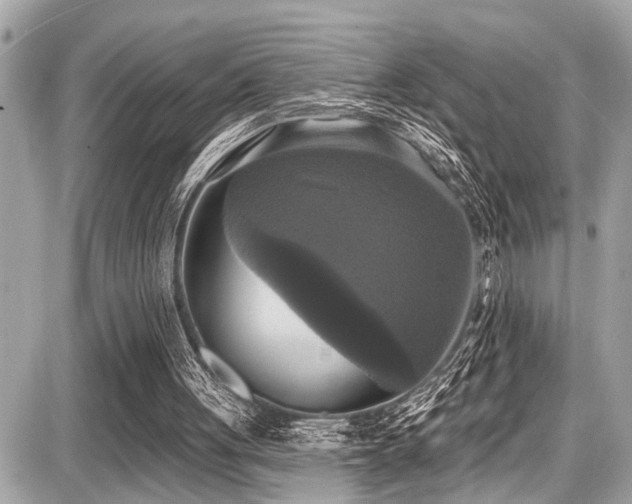 X0000087700051200705041113