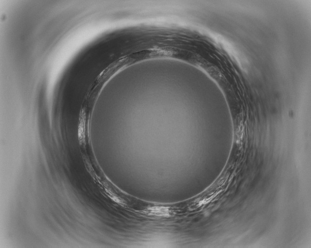 X0000087700052200705041113
