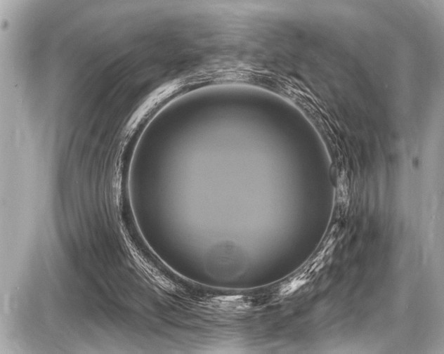 X0000087700054200705041113