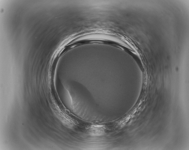 X0000087700055200705041113