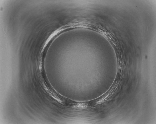 X0000087700056200705041113