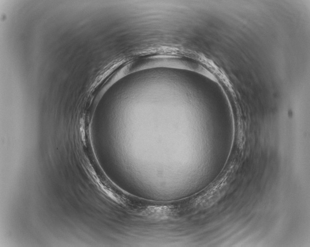X0000087700057200705041113