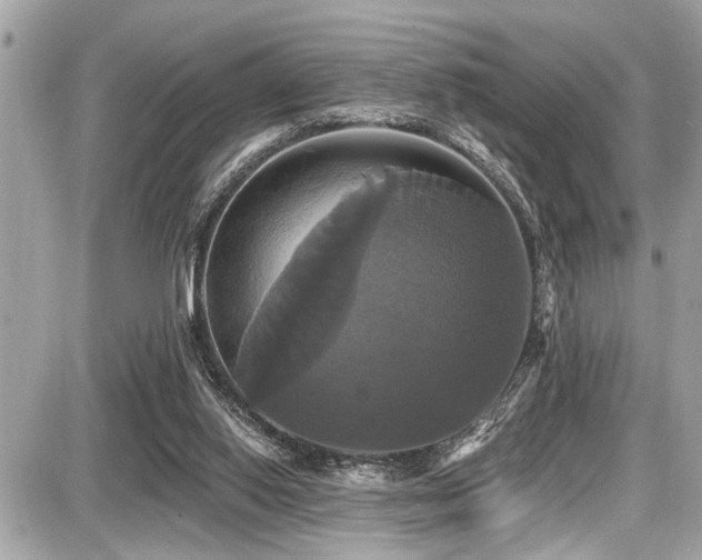 X0000087700062200705041113