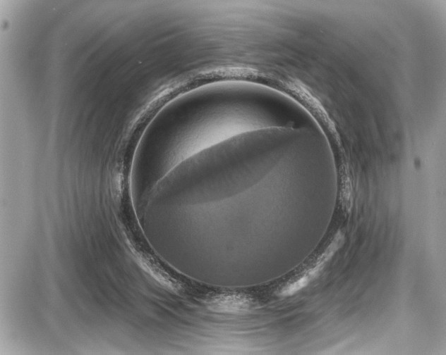 X0000087700063200705041113