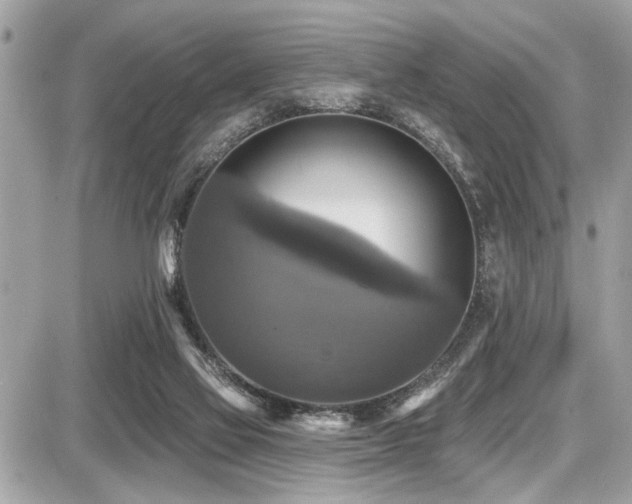 X0000087700069200705041113