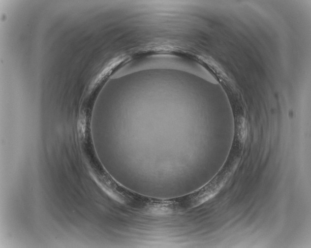 X0000087700072200705041113