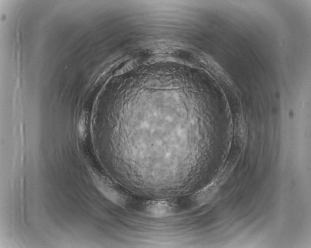 X0000087700074200705041113