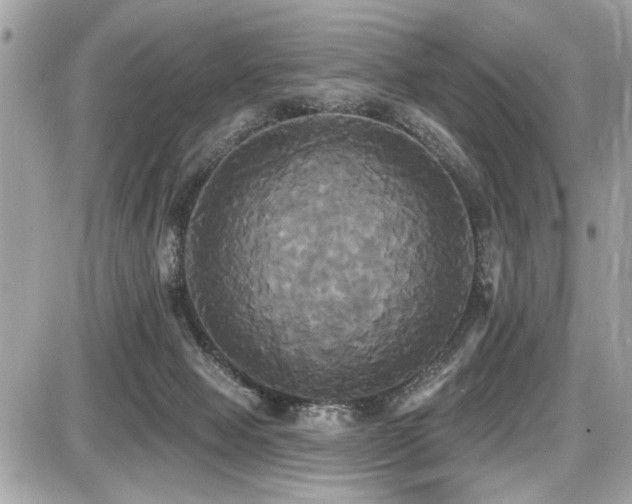 X0000087700077200705041113