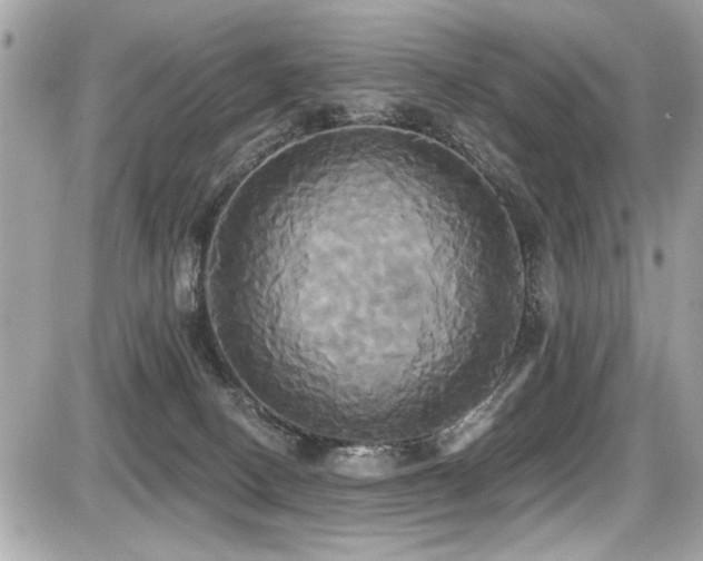 X0000087700082200705041114