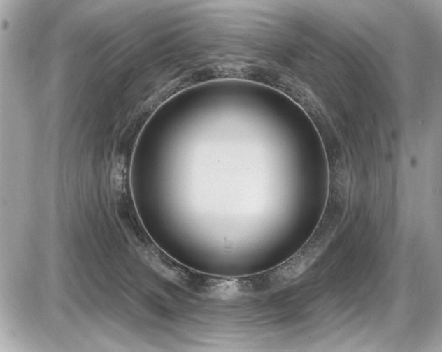 X0000087700083200705041114