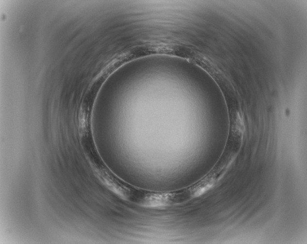 X0000087700084200705041114
