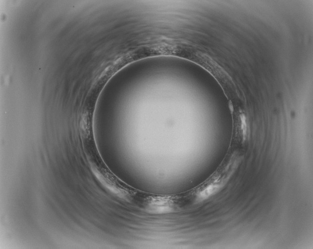 X0000087700088200705041114