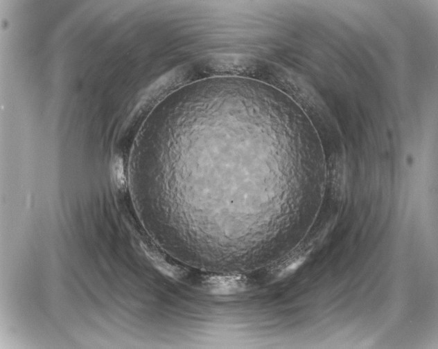 X0000087700089200705041114