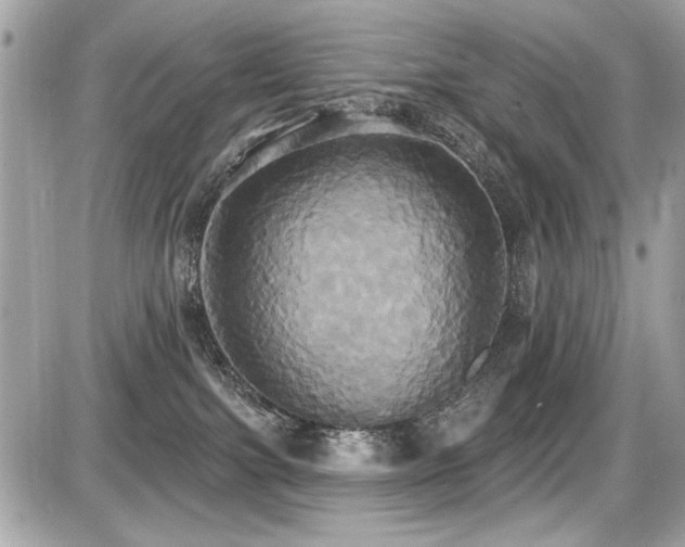 X0000087700091200705041114