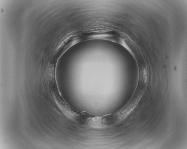 X0000087700092200705041114