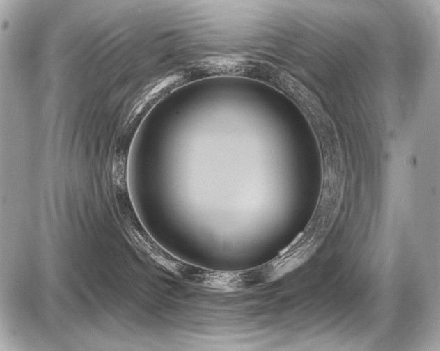 X0000087700096200705041114
