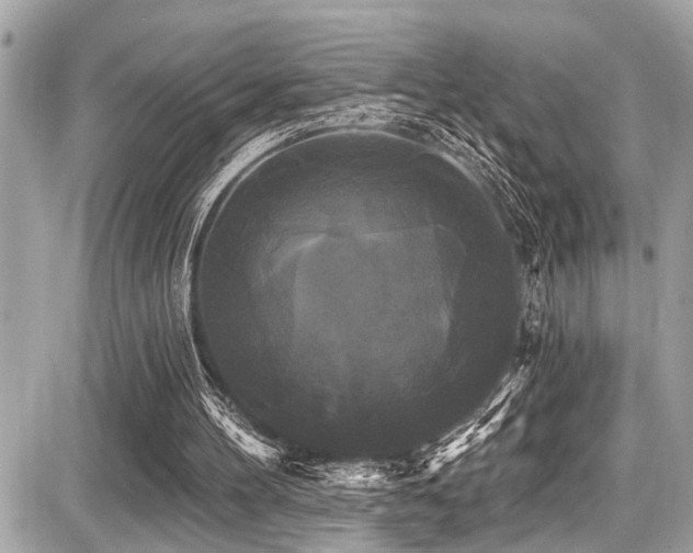 X0000087700100200705041113